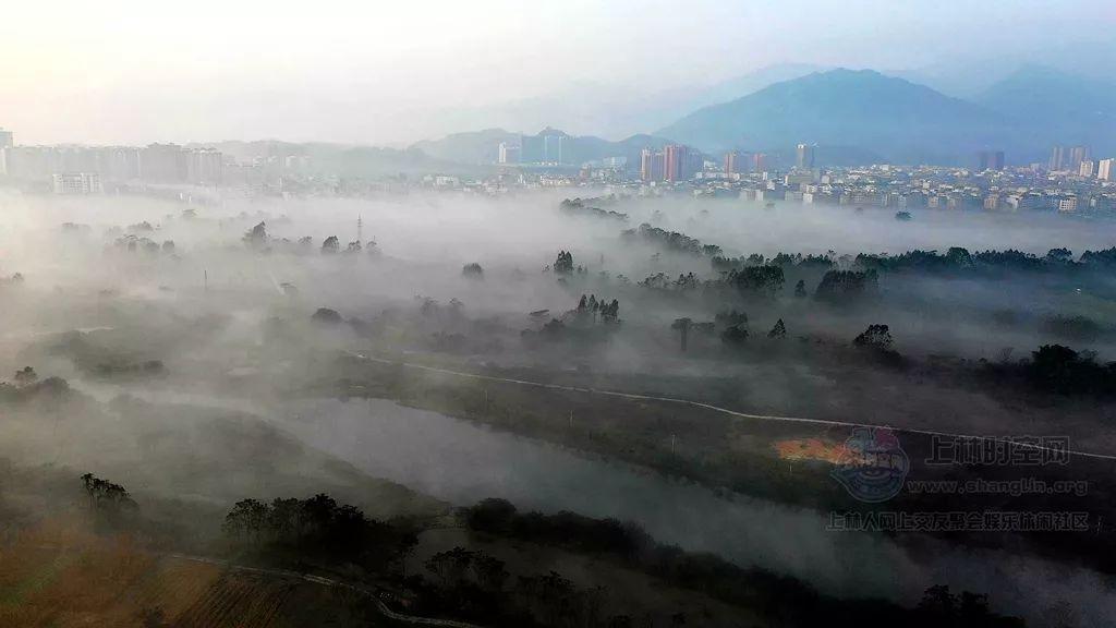 健美大赛