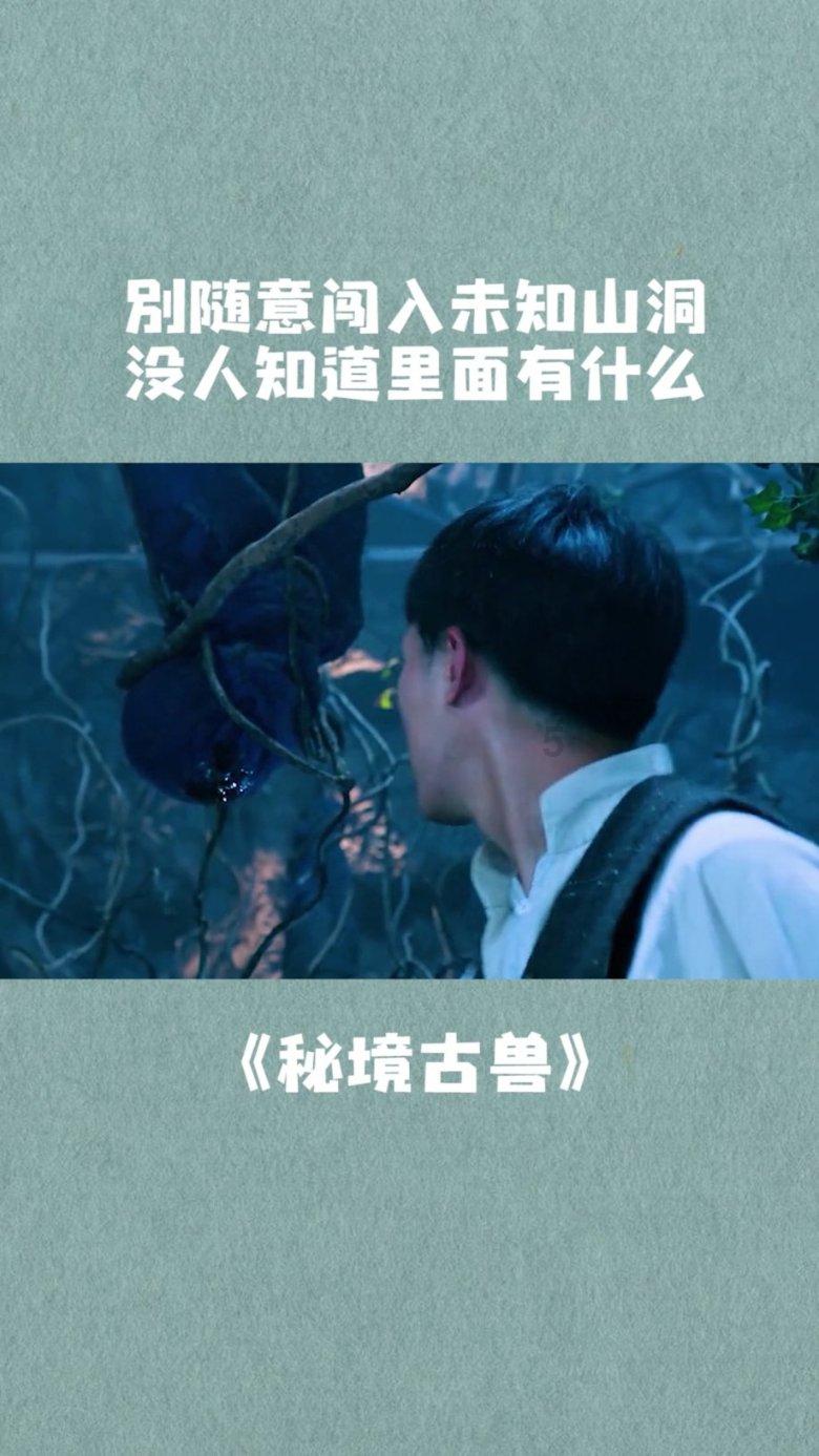 影子战术将军之刃