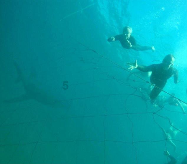 乖宝宠物：海外ODM业务快速恢复，盈利能力进一步提升