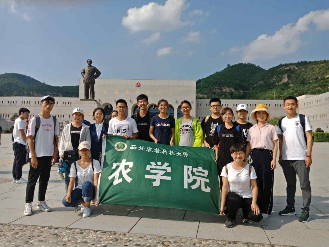 农场出逃大作战4