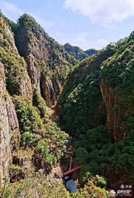 水果时尚风格