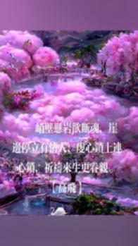 财学堂张穗鸿老师鸿雁证券专修课全集+指标合集
